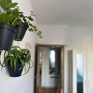  Apartament M&m